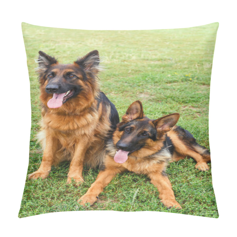 Personality  Two Happy German Shepherd Dogs Pillow Covers