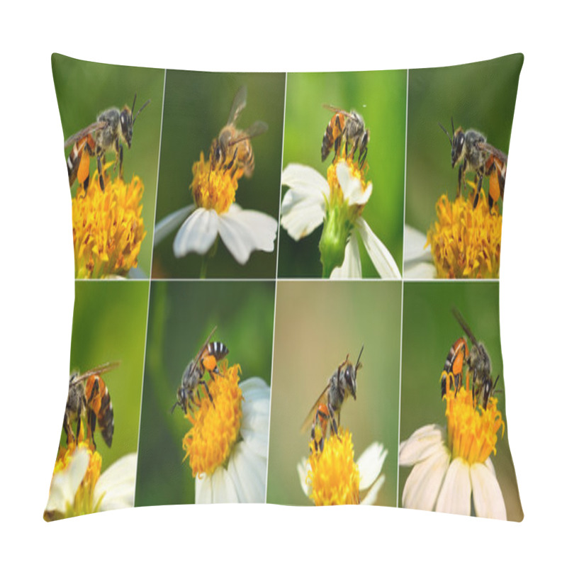 Personality  Close Up  Bees On  Flower Pillow Covers