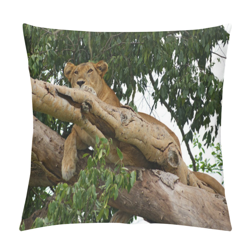 Personality  Lion Resting In A Tree Pillow Covers