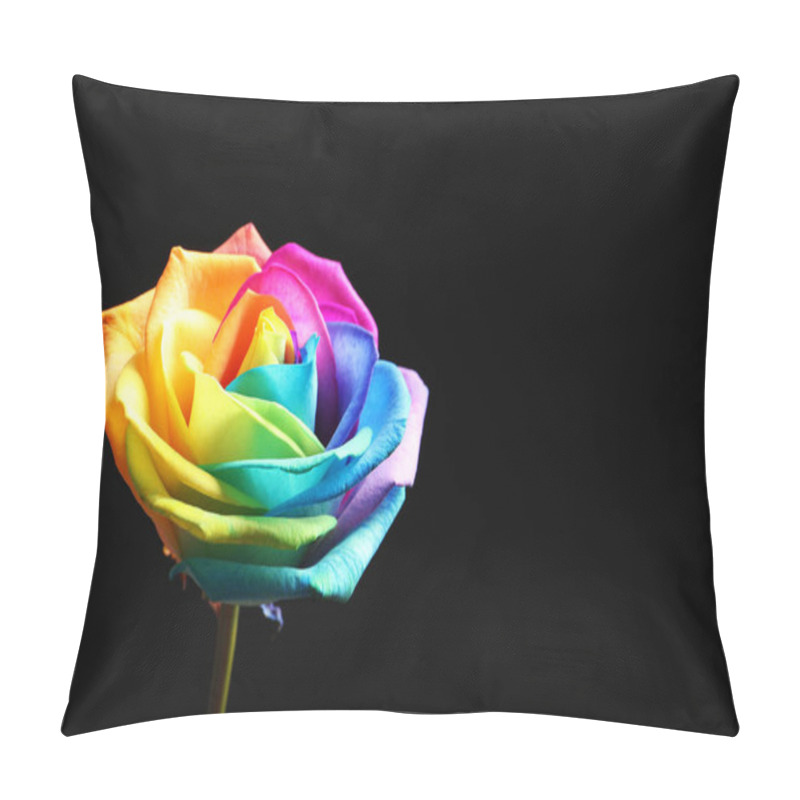 Personality  Amazing Rainbow Rose Flower On Black Background Pillow Covers