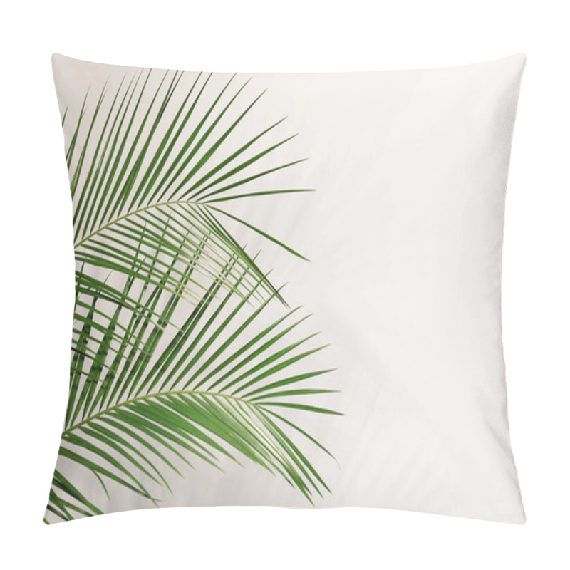 Personality  Fresh Tropical Date Palm Leaf On Light Background Pillow Covers