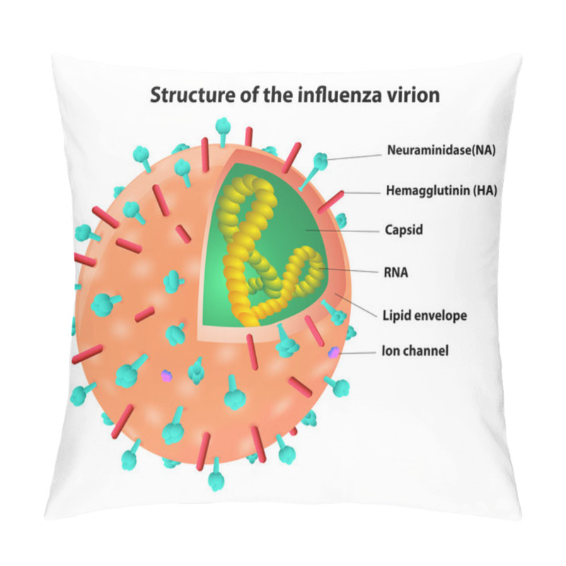 Personality  Structure Of The Influenza Virion. Virus. Vector Pillow Covers