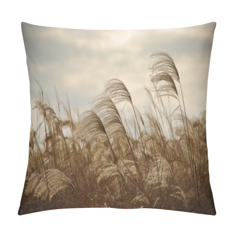 Personality  Reed Pillow Covers