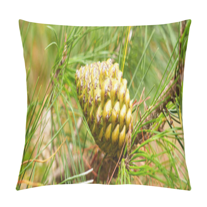 Personality  Close-up Of A Vibrant Green Pine Cone Nestled In Fresh Needles, Highlighting Natural Organic Growth. Perfect For Ecology And Nature Themes Pillow Covers