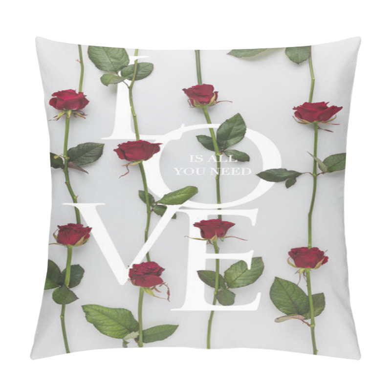 Personality  Full Frame Of Arranged Red Roses Isolated On White, St Valentines Day Holiday Concept Pillow Covers