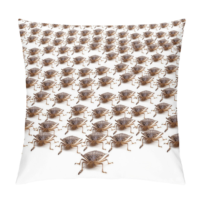 Personality  Army Of Brown Stink Bugs Pillow Covers