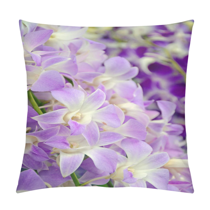 Personality  Fancy Tone Of Denerobium Orchids (Dendrobium Hybrid) In Thailand. Pillow Covers