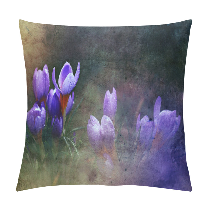 Personality  Photo Of Beautiful Crocus Flower Pillow Covers