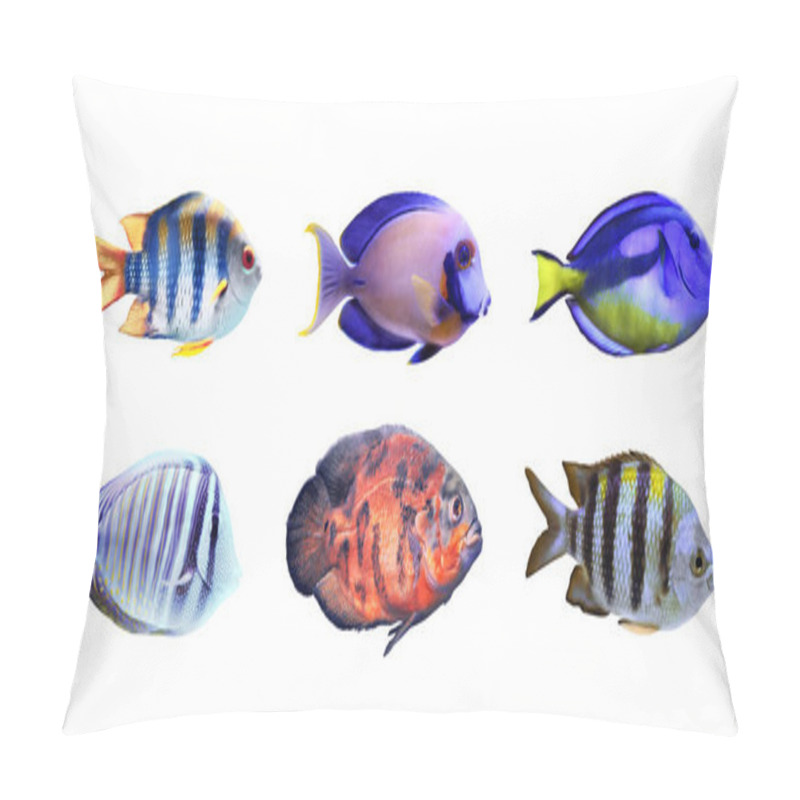 Personality  Set Of Different Bright Tropical Fishes On White Background Pillow Covers