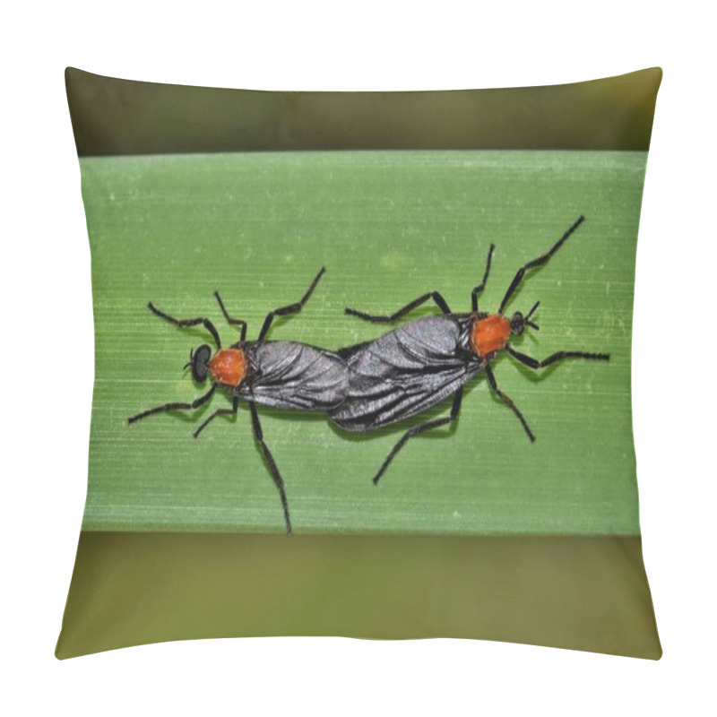 Personality  A Pair Of Mating Love Bugs (Plecia Nearctica) On A Reed Plant In The Bayou. Pillow Covers