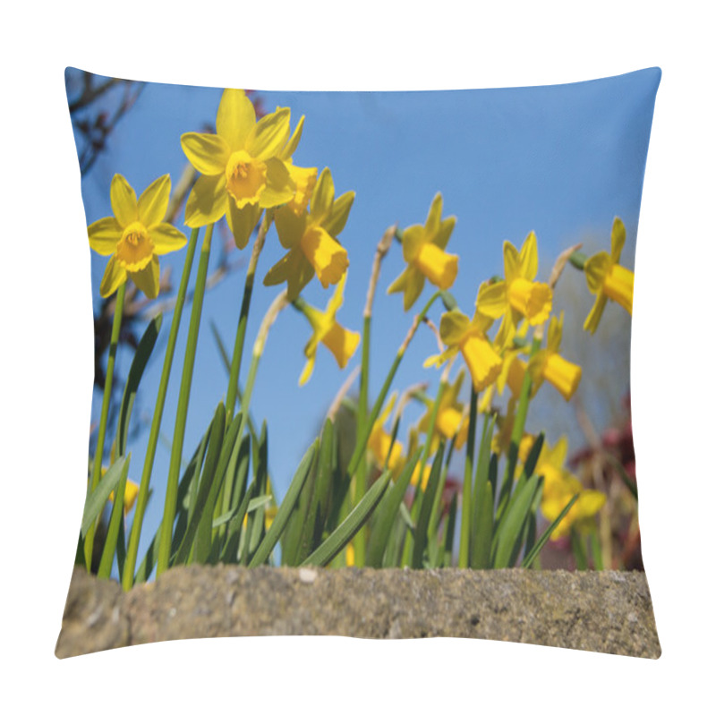 Personality  Spring Daffodils Pillow Covers