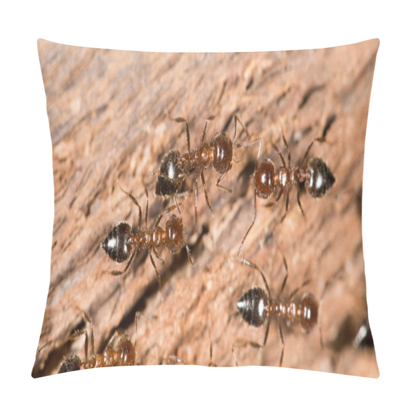 Personality  Beautiful Photo In Nature Pillow Covers