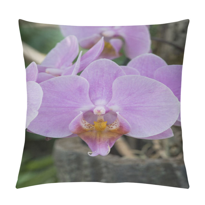 Personality  Close Up View Of Pink Orchid Flowers Pillow Covers