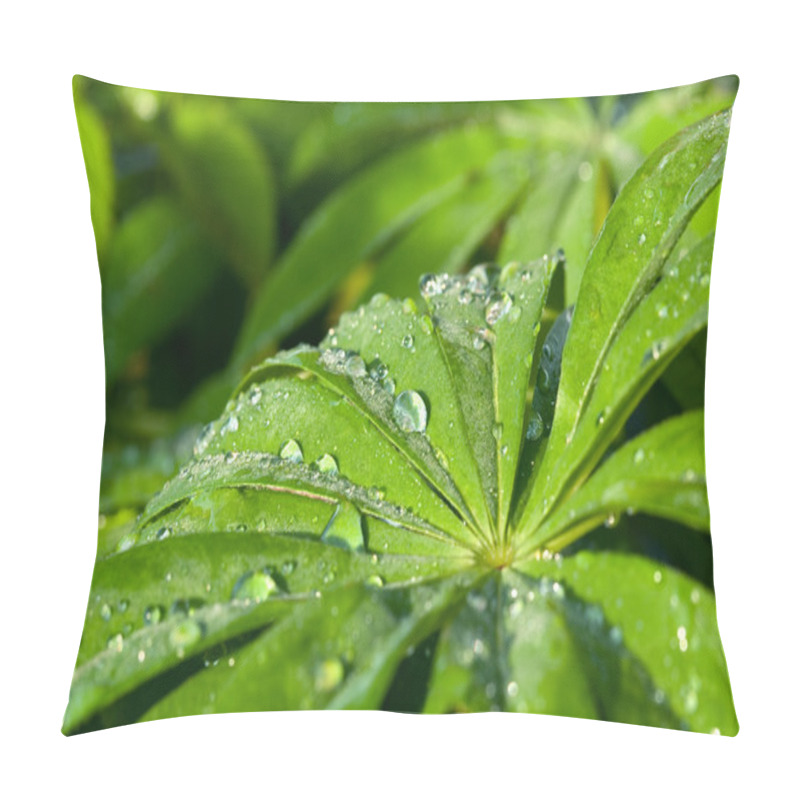 Personality  Fresh Green Leaves With Water Drops Pillow Covers