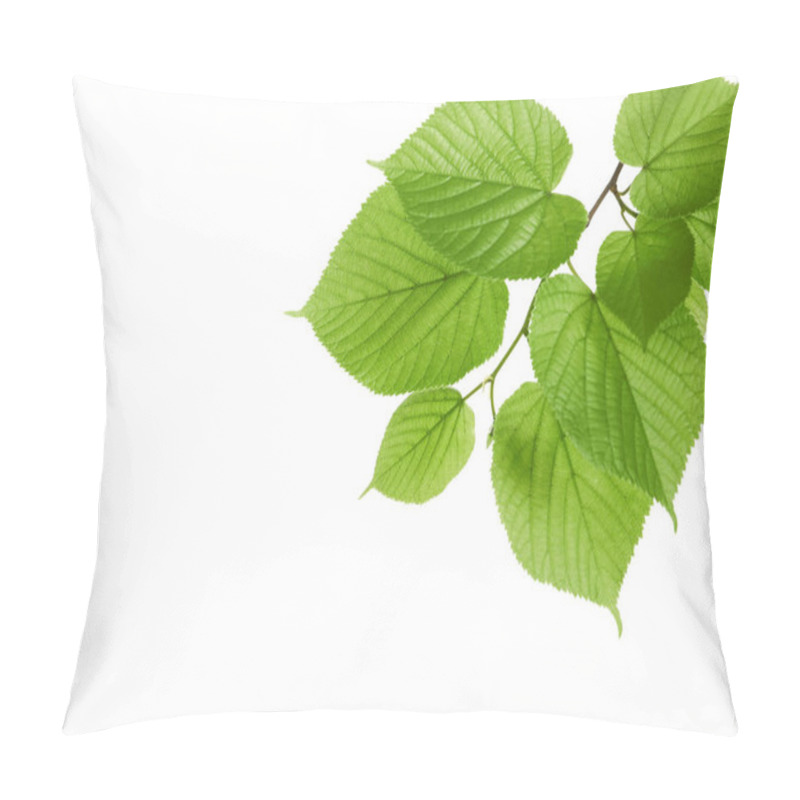 Personality  Branch With Green Leaves On White Background Pillow Covers