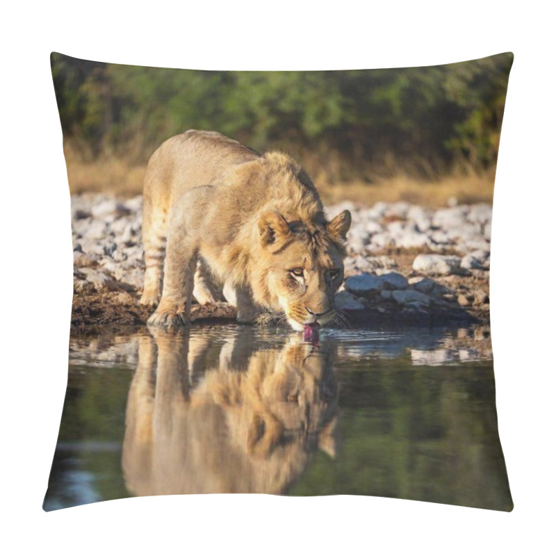 Personality  A Full Shot Photo Of A Lion Drinking From A Waterhole, Deep Focus Capturing The Reflection In The Water And The Details Of Its Face And Paws, Low-angle Shot That Gives The Viewer A Unique Perspective On This Intimate Moment In The Wild Pillow Covers