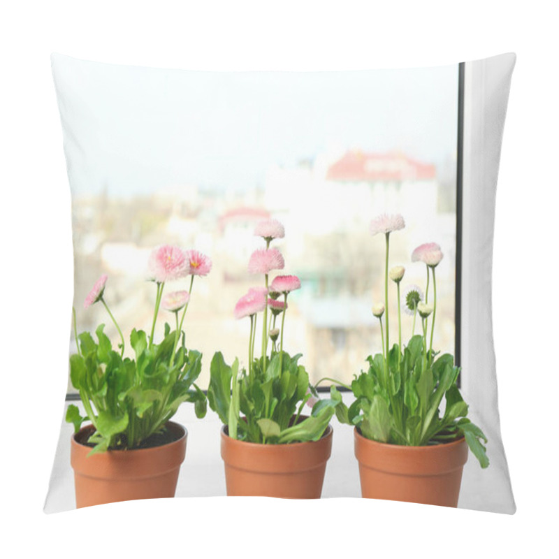 Personality  Beautiful Blooming Daisies In Pots On Window Sill, Space For Text. Spring Flowers Pillow Covers