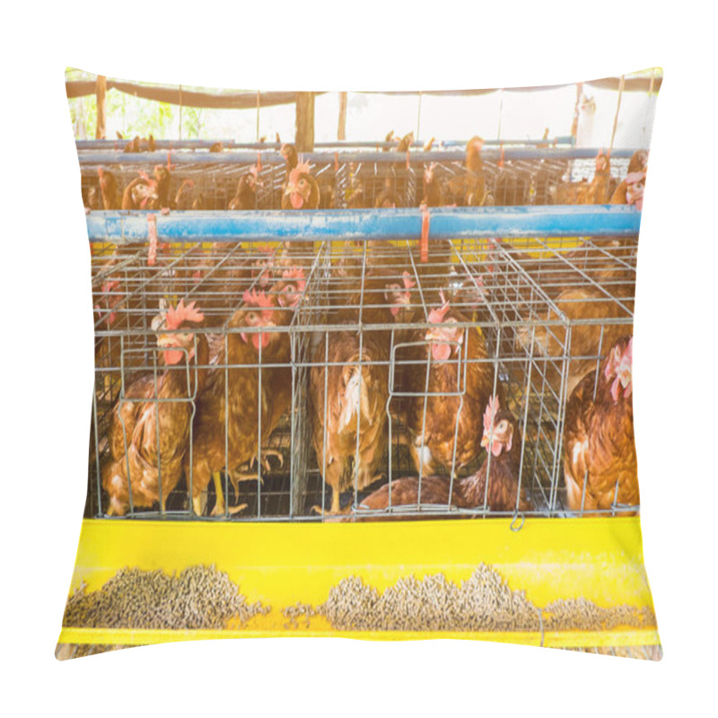 Personality  Laying Chicken Pillow Covers