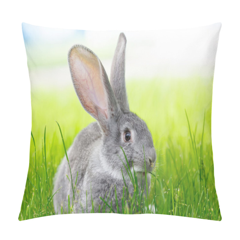 Personality  Gray Rabbit In Green Grass Pillow Covers