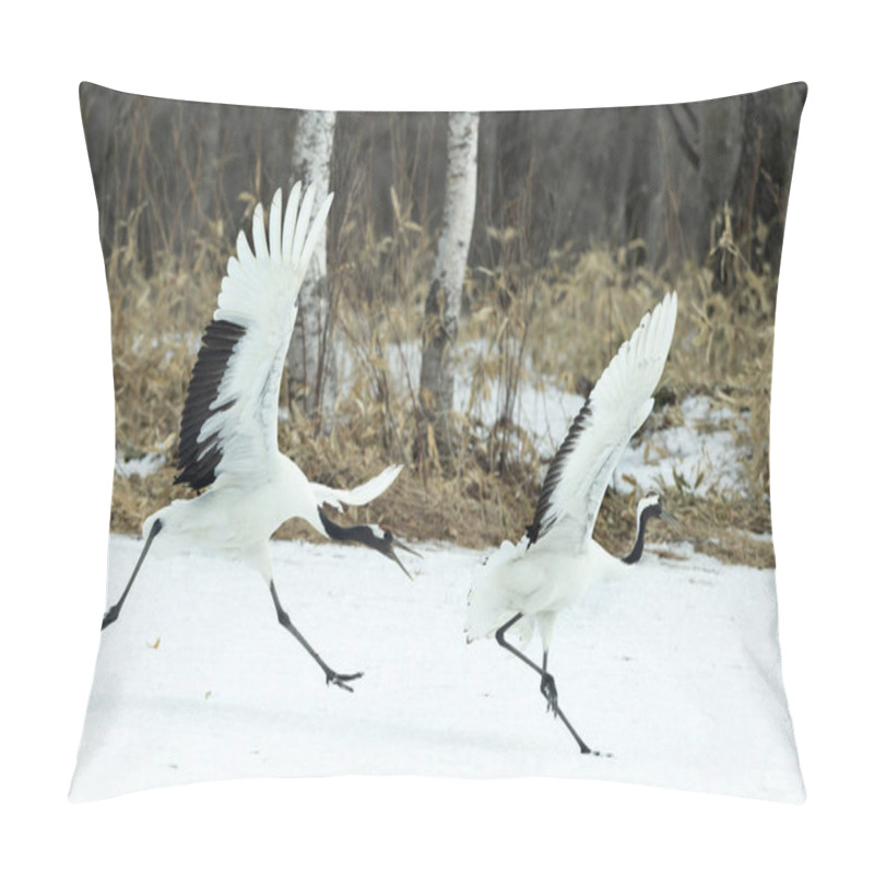 Personality  The Ritual Marriage Dance Of Cranes. The Red-crowned Cranes. Scientific Name: Grus Japonensis, Also Called The Japanese Crane Or Manchurian Crane, Is A Large East Asian Crane. Pillow Covers