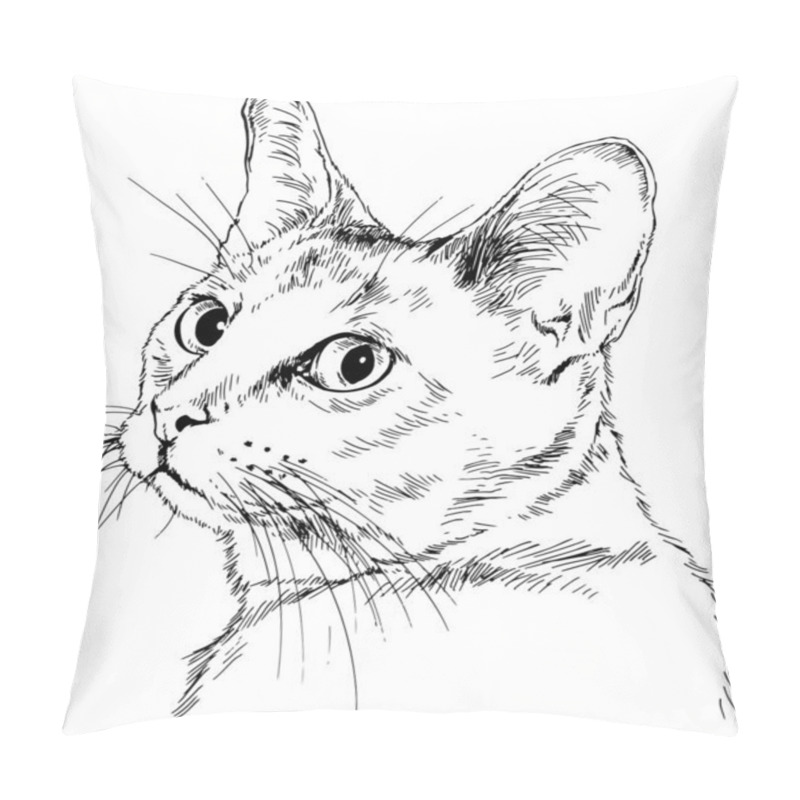 Personality  Pedigree Cat Drawn In Ink By Hand On A White Background Pillow Covers