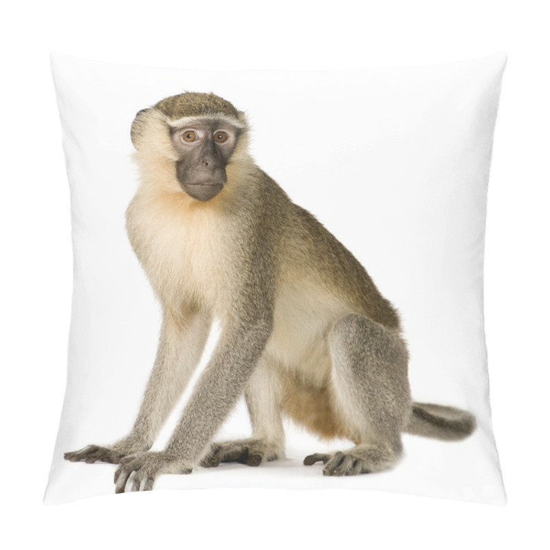 Personality  Vervet Monkey - Chlorocebus Pygerythrus Pillow Covers