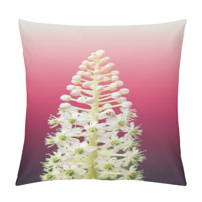 Personality  Delicate White Flower On A Soft Gradient Background Pillow Covers