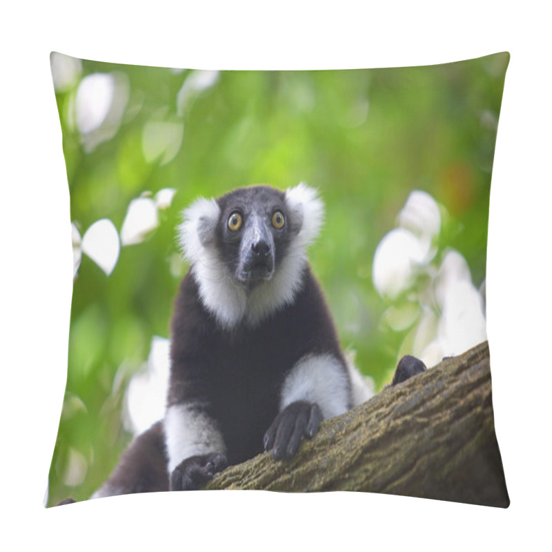 Personality  Lemur Pillow Covers