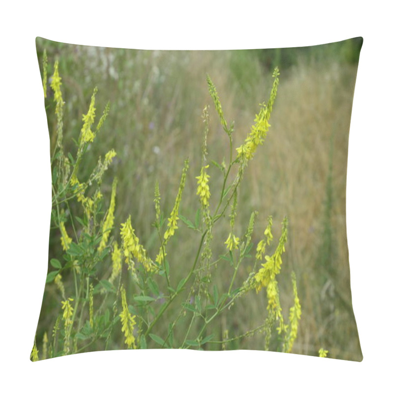 Personality  Melilotus Officinalis (Yellow Sweet Clower) Pillow Covers