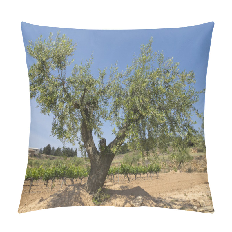 Personality  Olea Europaea Pillow Covers