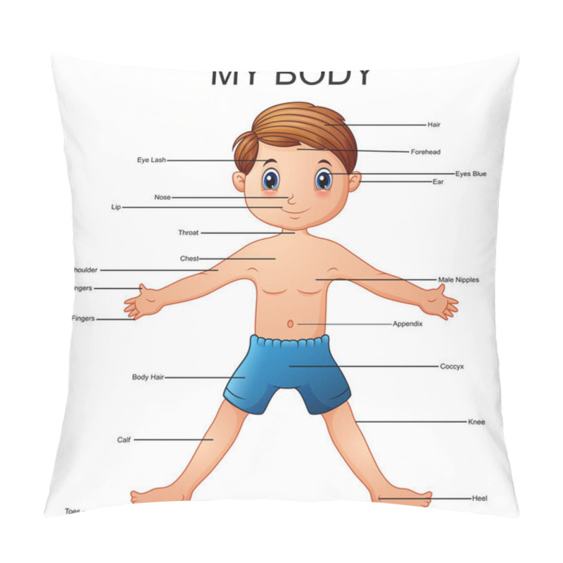 Personality  Illustration Of Vocabulary Part Of Body Pillow Covers