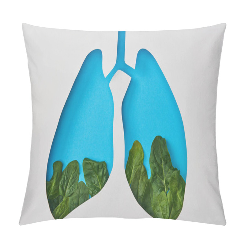 Personality  Top View Of Lungs Model With Leaves Isolated On White Pillow Covers