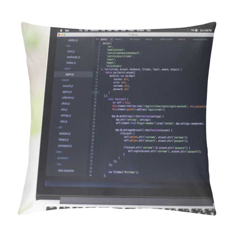 Personality  Software Project Using Javascript Pillow Covers