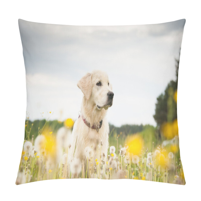 Personality  Golden Retriever In Flowers Pillow Covers