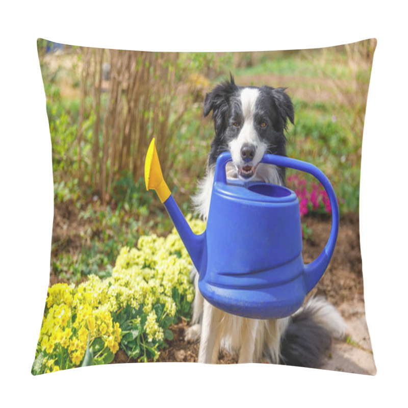 Personality  Outdoor Portrait Of Cute Dog Border Collie Holding Watering Can In Mouth On Garden Background. Funny Puppy Dog As Gardener Fetching Watering Can For Irrigation. Gardening And Agriculture Concept Pillow Covers