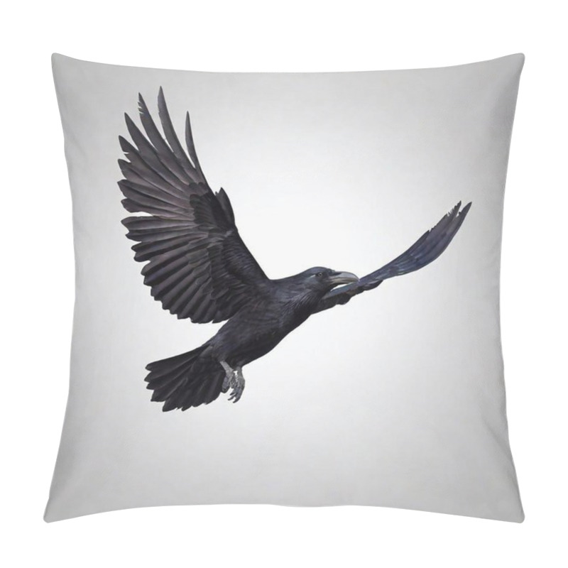 Personality  Black Heron In Flight, Isolated On Black Background Pillow Covers