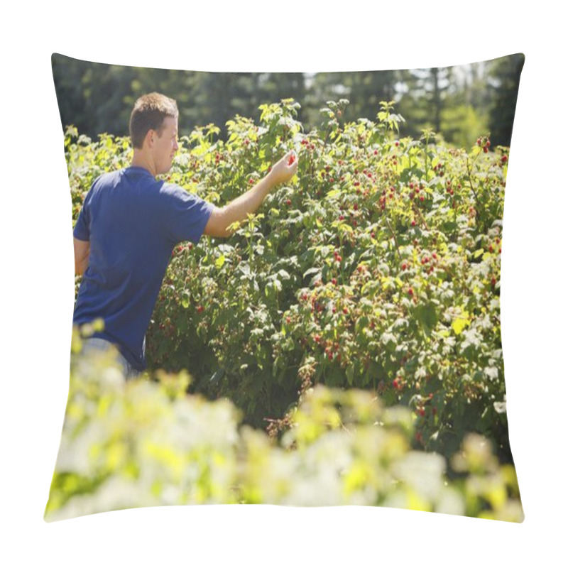 Personality  Man Picking Raspberries Pillow Covers