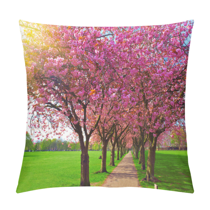 Personality  Walk Path Surrounded With Blossoming Plum Trees Pillow Covers