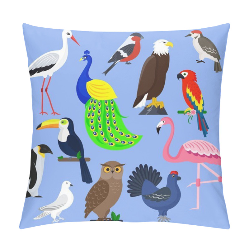 Personality  Bird Species Collection Different Vector Illustration Wild Animal Characters Avifauna Tropical Feather Pets Pillow Covers