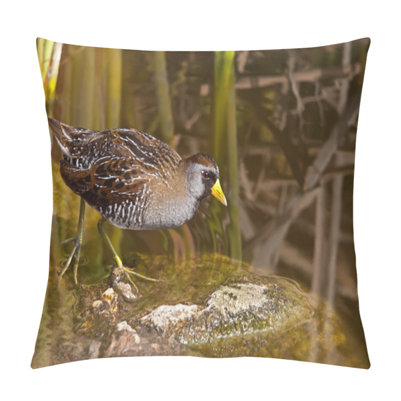 Personality  Sora (Porzana Carolina) Pillow Covers