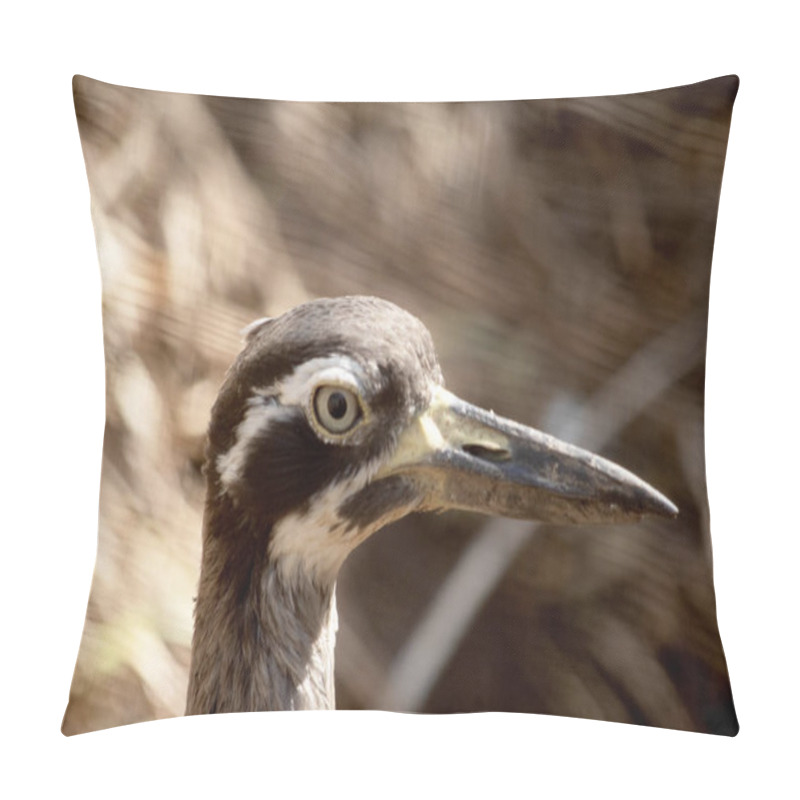 Personality  The Beach Stone Curlew Is Largely Grey-brown Upperparts With A Distinctive Black-and-white Striped Face And Shoulder-patch. Pillow Covers