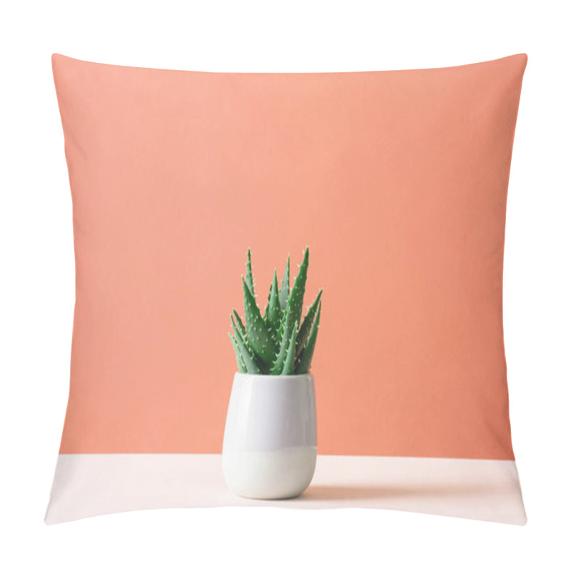 Personality  Aloe Cactus On Pastel Background Succulent Plant In Pot Copy Space Minimal Summer Still Life Concept Pillow Covers