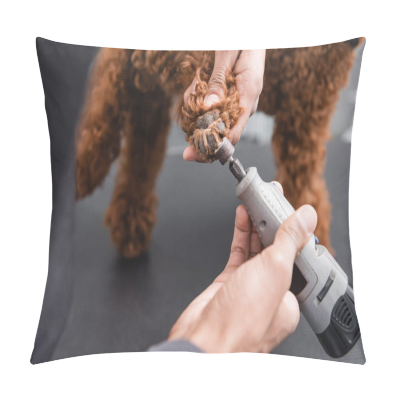 Personality  Partial View Of African American Man Polishing Claws Of Brown Dog In Grooming Salon Pillow Covers