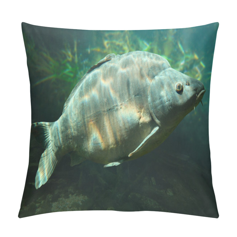 Personality  Mirror Carp Pillow Covers