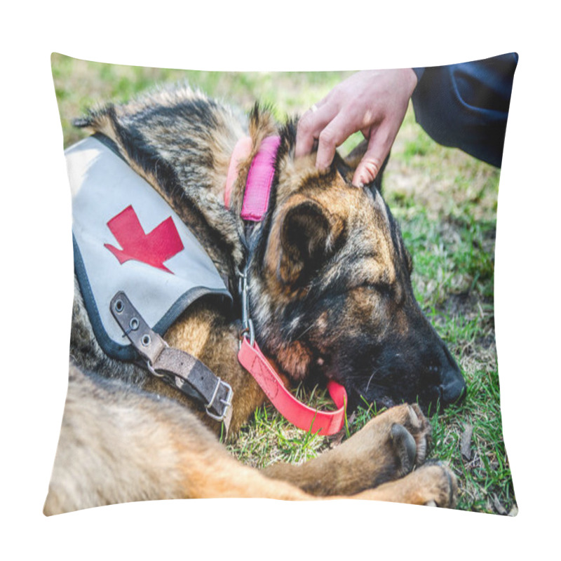 Personality  The Rescue Dog Sleeps After A Day's Work. Pillow Covers