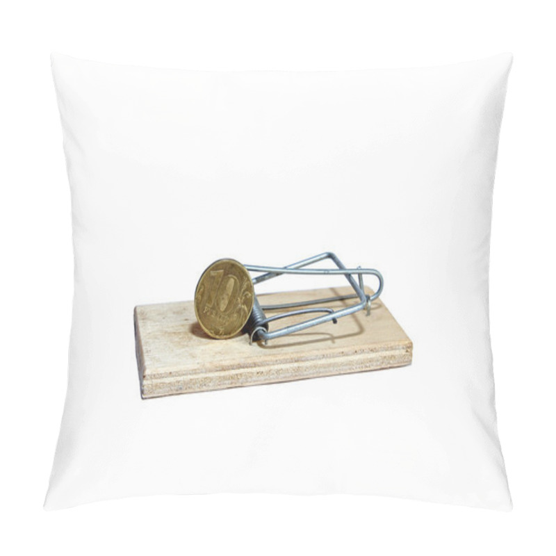 Personality  Charged Mousetrap With Bait In The Form Of Copper Coin Pillow Covers