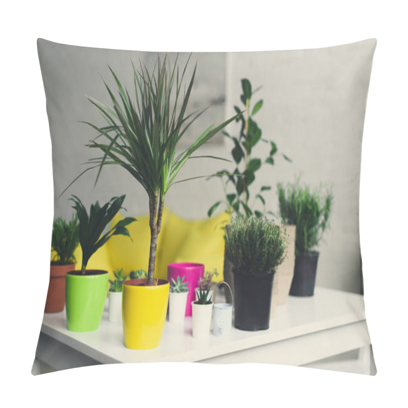 Personality  Plants Pillow Covers