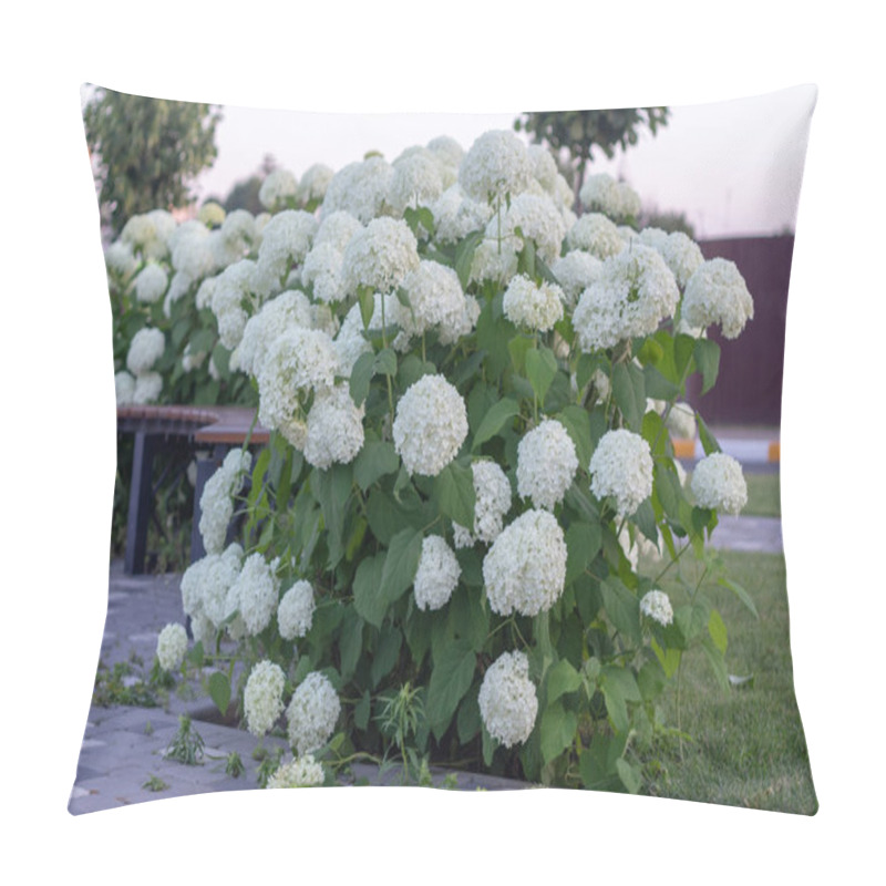 Personality  White Hydrangea Blooming In The Evening Summer Garden Pillow Covers