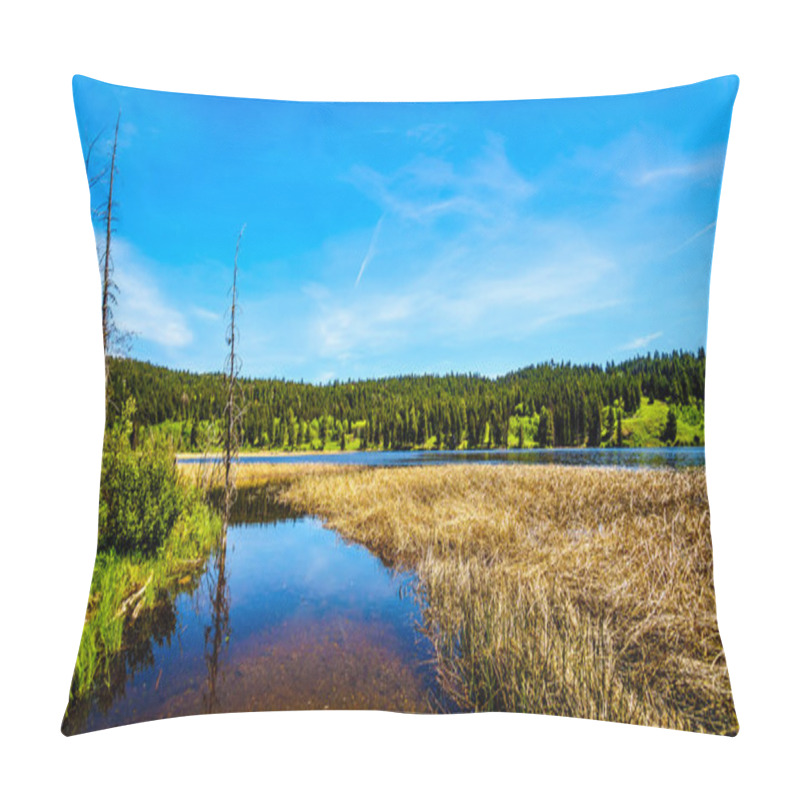 Personality  Kidd Lake Along Highway 5A, The Kamloops-Princeton Highway, Between The Towns Of Merritt And Princeton In British Columbia, Canada Pillow Covers