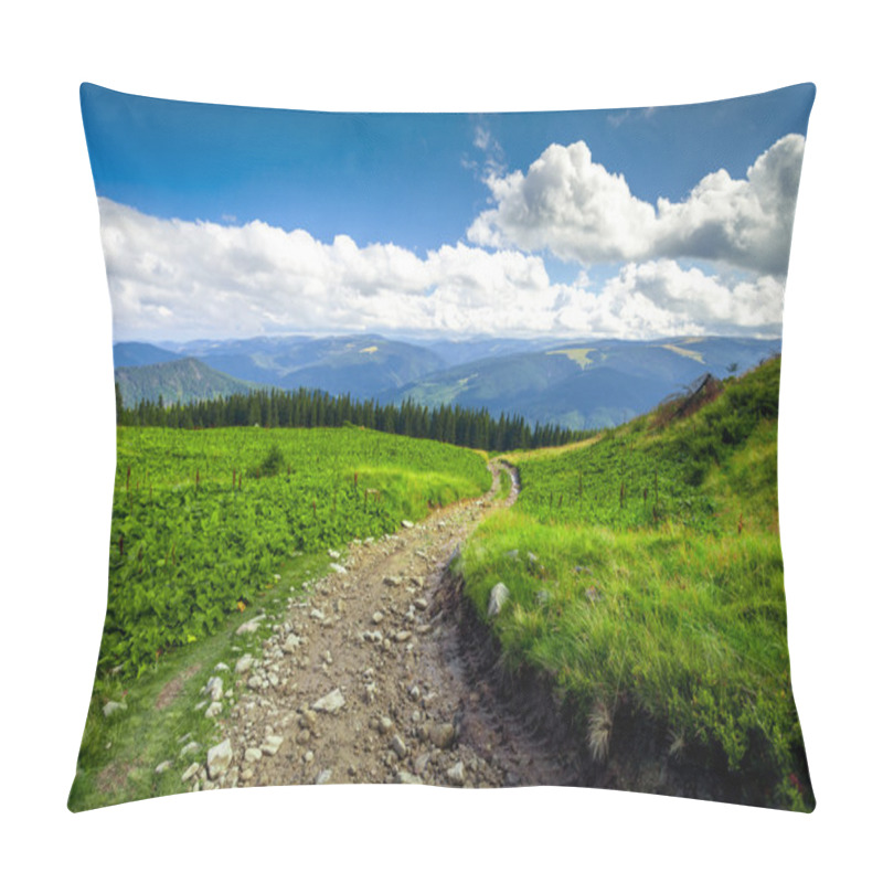 Personality  Summer Landscape.  Pillow Covers